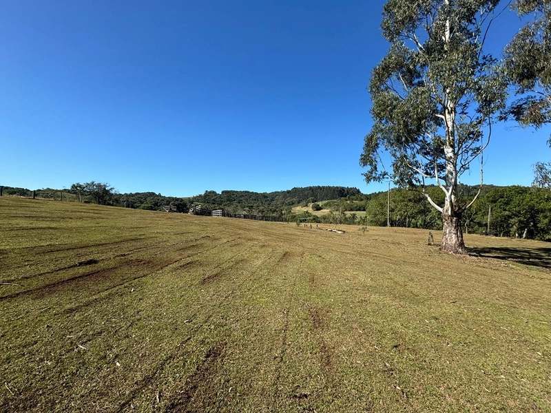 CHÁCARA PRÓXIMO AO CENTRO DA BALSA NOVA, QUASE 6 ALQUEIRES: 53ª foto da galeria de imagens do imóvel