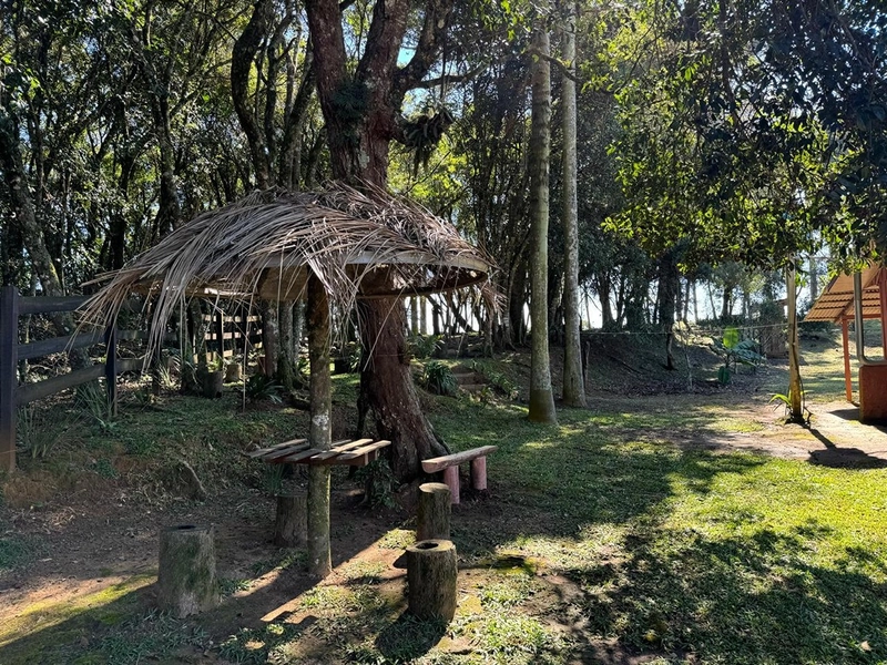 CHÁCARA PRÓXIMO AO CENTRO DA BALSA NOVA, QUASE 6 ALQUEIRES: 31ª foto da galeria de imagens do imóvel