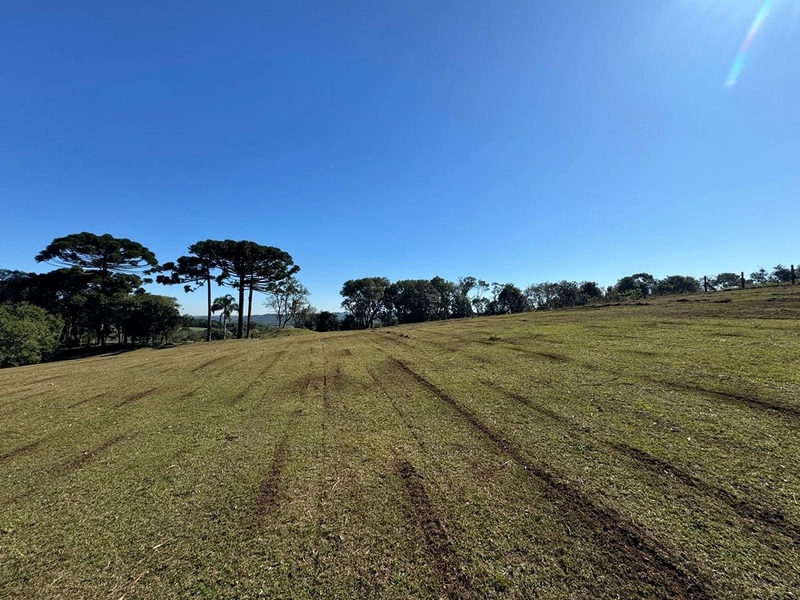 CHÁCARA PRÓXIMO AO CENTRO DA BALSA NOVA, QUASE 6 ALQUEIRES: 3ª foto da galeria de imagens do imóvel