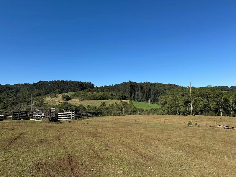 CHÁCARA PRÓXIMO AO CENTRO DA BALSA NOVA, QUASE 6 ALQUEIRES: 48ª foto da galeria de imagens do imóvel