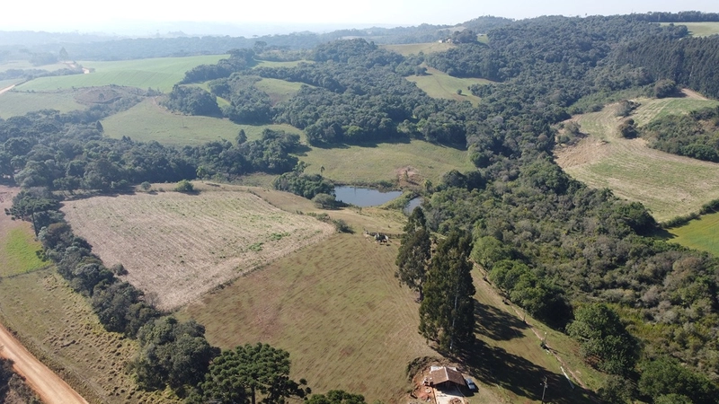 CHÁCARA PRÓXIMO AO CENTRO DA BALSA NOVA, QUASE 6 ALQUEIRES: 7ª foto da galeria de imagens do imóvel