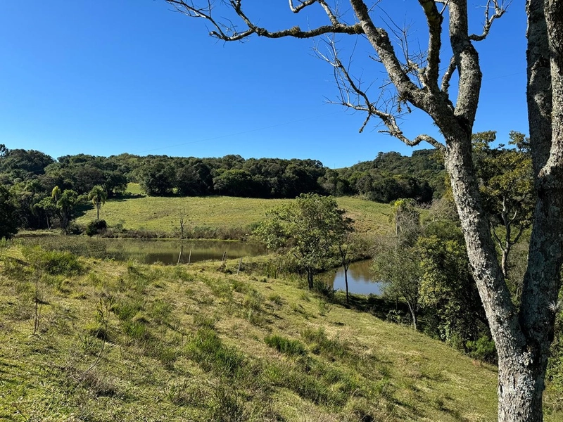 CHÁCARA PRÓXIMO AO CENTRO DA BALSA NOVA, QUASE 6 ALQUEIRES: 38ª foto da galeria de imagens do imóvel