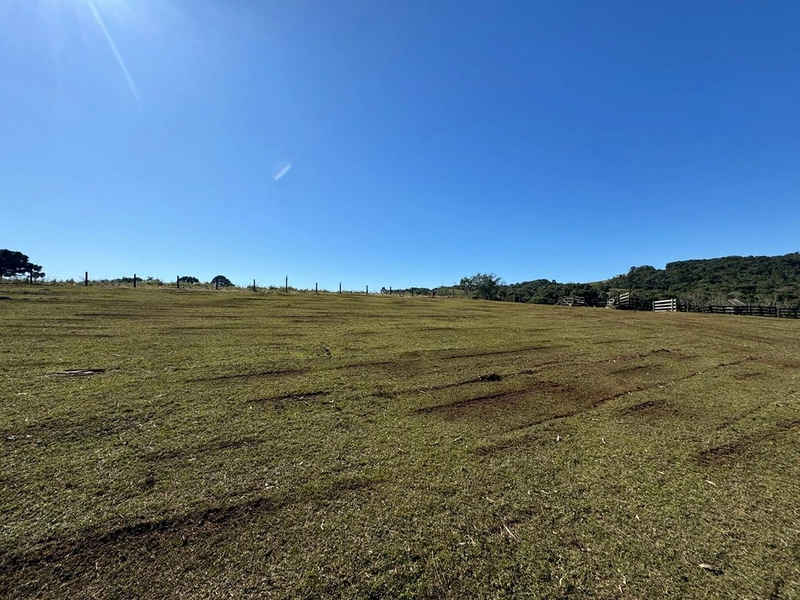 CHÁCARA PRÓXIMO AO CENTRO DA BALSA NOVA, QUASE 6 ALQUEIRES: 52ª foto da galeria de imagens do imóvel