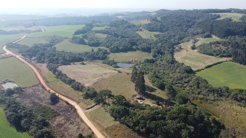 CHÁCARA PRÓXIMO AO CENTRO DA BALSA NOVA, QUASE 6 ALQUEIRES: 61ª foto da galeria de imagens do imóvel