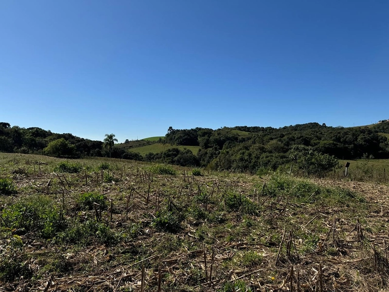 CHÁCARA PRÓXIMO AO CENTRO DA BALSA NOVA, QUASE 6 ALQUEIRES: 47ª foto da galeria de imagens do imóvel