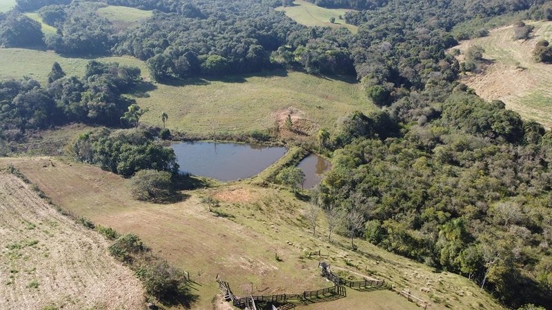 CHÁCARA PRÓXIMO AO CENTRO DA BALSA NOVA, QUASE 6 ALQUEIRES: 65ª foto da galeria de imagens do imóvel