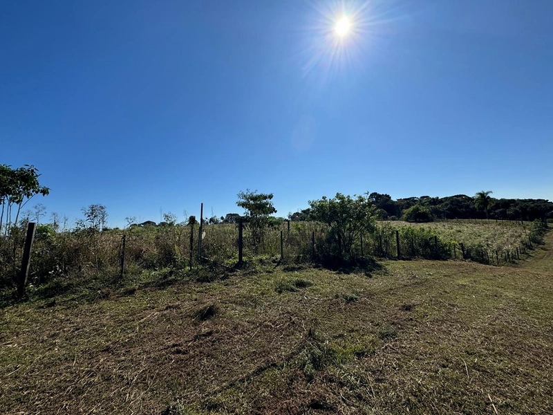 CHÁCARA PRÓXIMO AO CENTRO DA BALSA NOVA, QUASE 6 ALQUEIRES: 44ª foto da galeria de imagens do imóvel