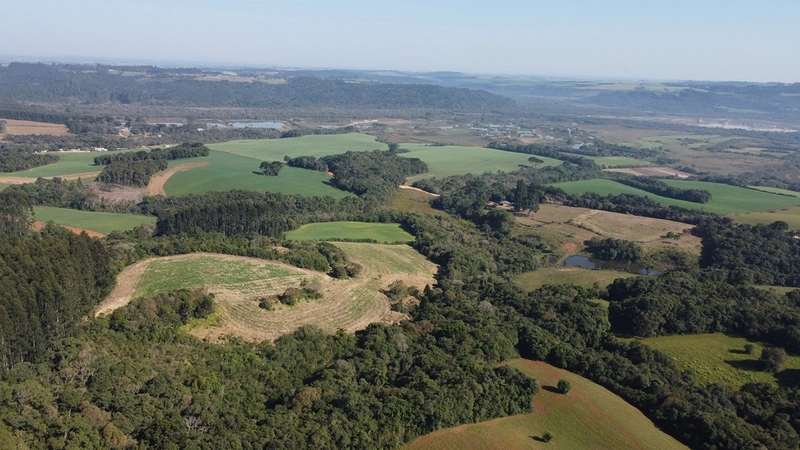 CHÁCARA PRÓXIMO AO CENTRO DA BALSA NOVA, QUASE 6 ALQUEIRES: 68ª foto da galeria de imagens do imóvel