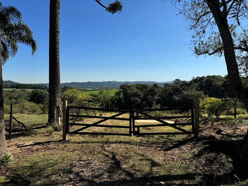 CHÁCARA PRÓXIMO AO CENTRO DA BALSA NOVA, QUASE 6 ALQUEIRES: 15ª foto da galeria de imagens do imóvel