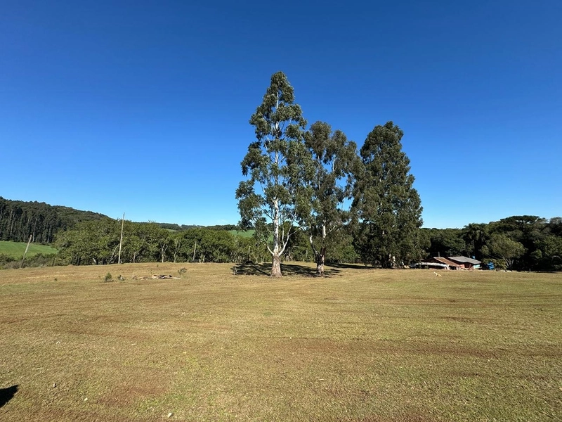 CHÁCARA PRÓXIMO AO CENTRO DA BALSA NOVA, QUASE 6 ALQUEIRES: 51ª foto da galeria de imagens do imóvel