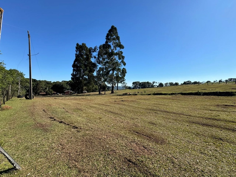 CHÁCARA PRÓXIMO AO CENTRO DA BALSA NOVA, QUASE 6 ALQUEIRES: 9ª foto da galeria de imagens do imóvel