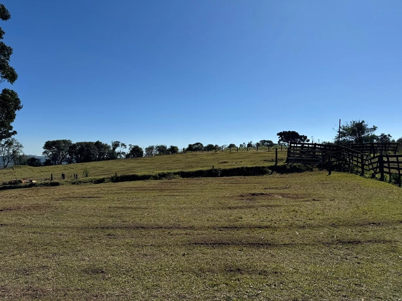 CHÁCARA PRÓXIMO AO CENTRO DA BALSA NOVA, QUASE 6 ALQUEIRES: 10ª foto da galeria de imagens do imóvel