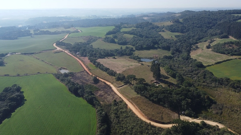 CHÁCARA PRÓXIMO AO CENTRO DA BALSA NOVA, QUASE 6 ALQUEIRES: 60ª foto da galeria de imagens do imóvel
