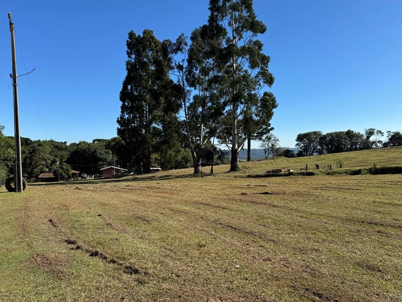 CHÁCARA PRÓXIMO AO CENTRO DA BALSA NOVA, QUASE 6 ALQUEIRES: 18ª foto da galeria de imagens do imóvel