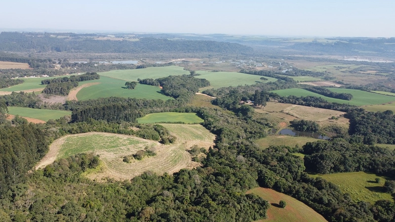 CHÁCARA PRÓXIMO AO CENTRO DA BALSA NOVA, QUASE 6 ALQUEIRES: 67ª foto da galeria de imagens do imóvel