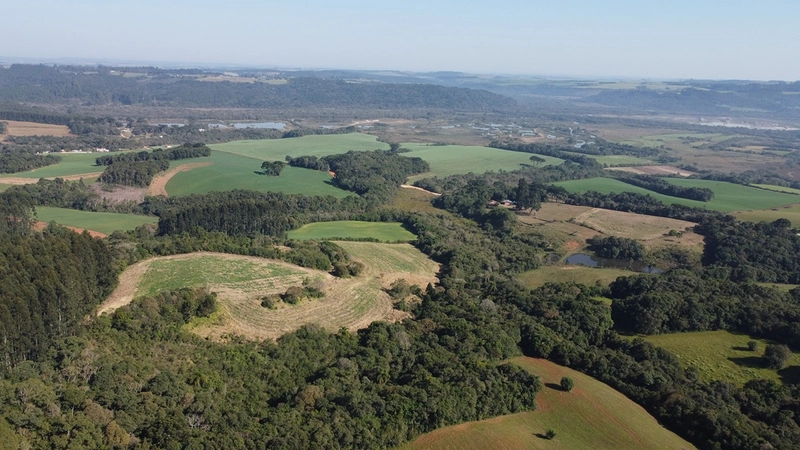 CHÁCARA PRÓXIMO AO CENTRO DA BALSA NOVA, QUASE 6 ALQUEIRES: 69ª foto da galeria de imagens do imóvel