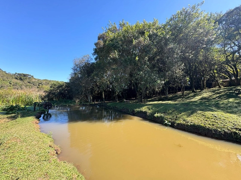 CHÁCARA PRÓXIMO AO CENTRO DA BALSA NOVA, QUASE 6 ALQUEIRES: 32ª foto da galeria de imagens do imóvel