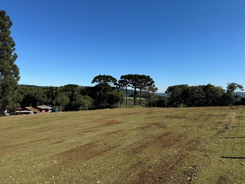 CHÁCARA PRÓXIMO AO CENTRO DA BALSA NOVA, QUASE 6 ALQUEIRES: 13ª foto da galeria de imagens do imóvel