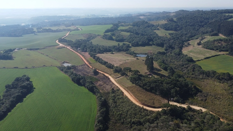 CHÁCARA PRÓXIMO AO CENTRO DA BALSA NOVA, QUASE 6 ALQUEIRES: 59ª foto da galeria de imagens do imóvel