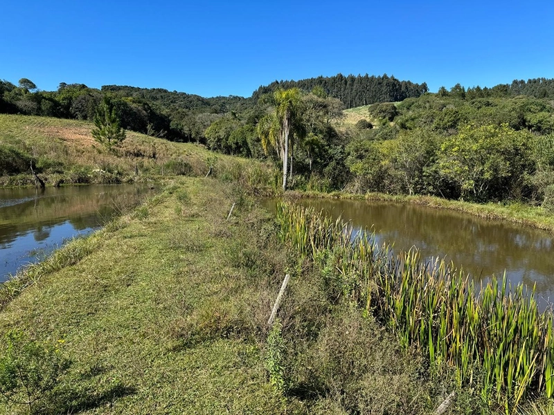 CHÁCARA PRÓXIMO AO CENTRO DA BALSA NOVA, QUASE 6 ALQUEIRES: 39ª foto da galeria de imagens do imóvel