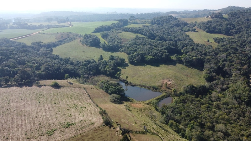 CHÁCARA PRÓXIMO AO CENTRO DA BALSA NOVA, QUASE 6 ALQUEIRES: 57ª foto da galeria de imagens do imóvel