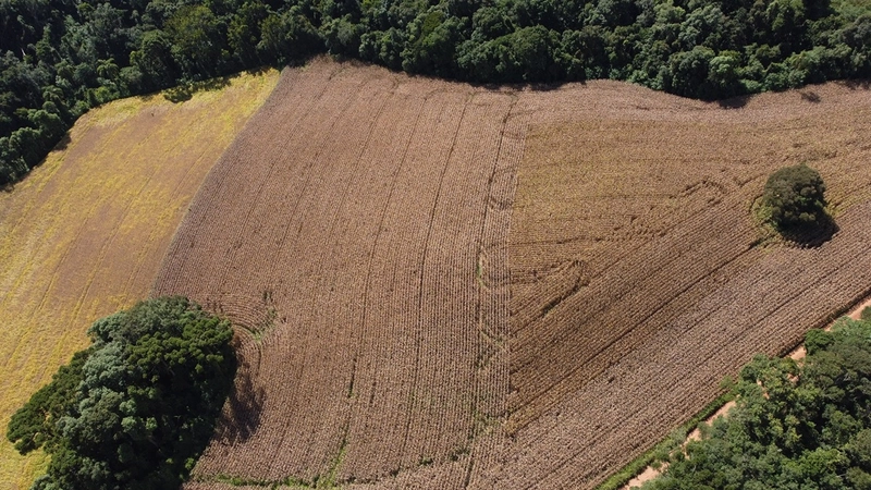 TERRENO PARA FORMAÇÃO DE CHÁCARA / PLANTIO 10 MINUTOS DO CENTRO: 4ª foto da galeria de imagens do imóvel