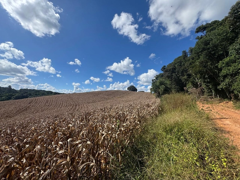 TERRENO PARA FORMAÇÃO DE CHÁCARA / PLANTIO 10 MINUTOS DO CENTRO: 9ª foto da galeria de imagens do imóvel