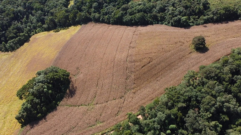 TERRENO PARA FORMAÇÃO DE CHÁCARA / PLANTIO 10 MINUTOS DO CENTRO: 3ª foto da galeria de imagens do imóvel