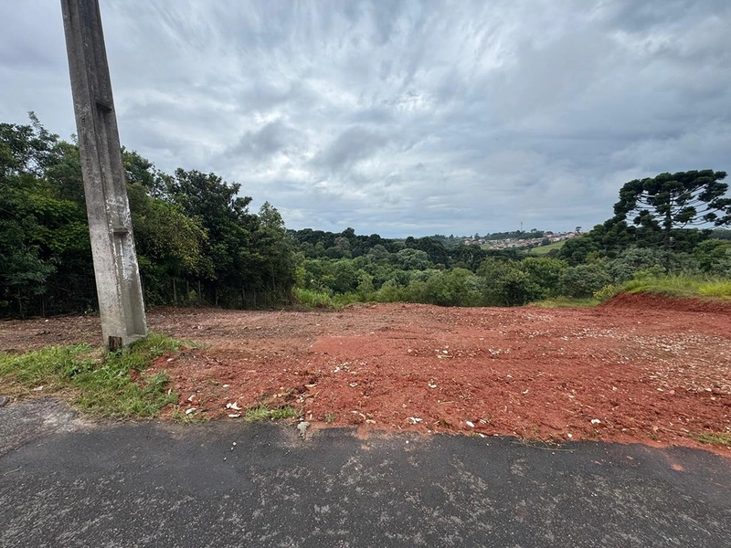 TERRENO ESPAÇOSO - 4 FRAÇÕES: 11ª foto da galeria de imagens do imóvel