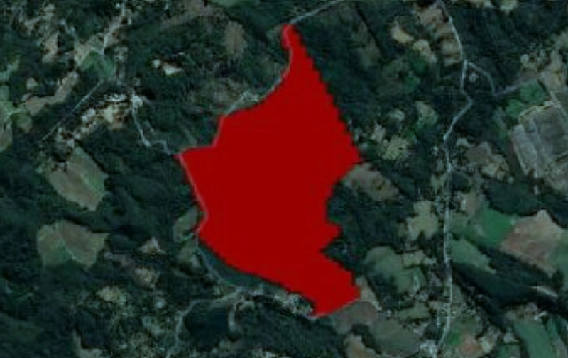 A vida que você sempre sonhou, com o espaço que sua família merece: Glebas exclusivas de 20.000 m² para formação de chácaras em Campo Largo!: 4ª foto da galeria de imagens do imóvel