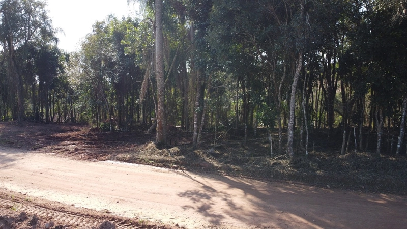 Terreno 3.364m² no Felpudo, com linda vista para São Luiz do Purunã!: 5ª foto da galeria de imagens do imóvel