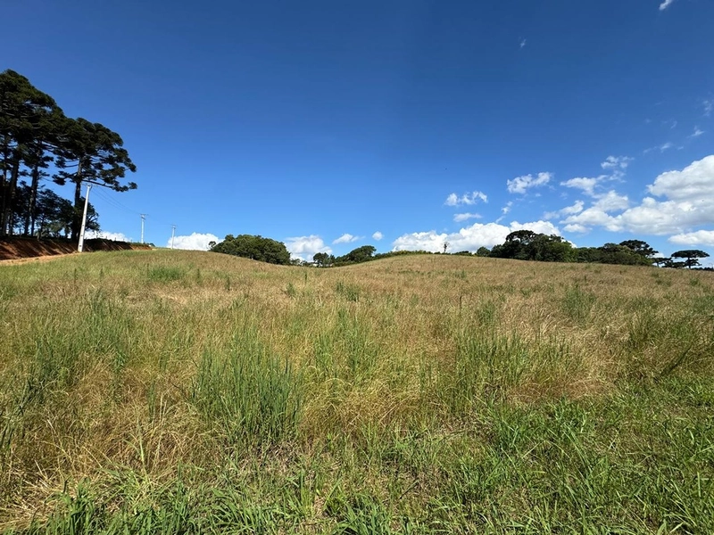 TERRENO PARA FORMAÇÃO DE CHÁCARA PRÓXIMO AO CENTRO DE ARAUCÁRIA: 38ª foto da galeria de imagens do imóvel