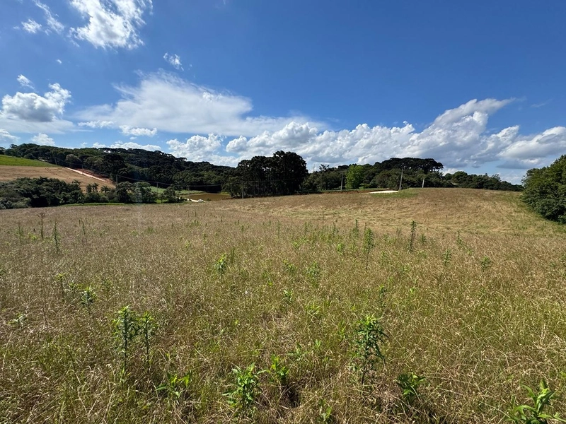 TERRENO PARA FORMAÇÃO DE CHÁCARA PRÓXIMO AO CENTRO DE ARAUCÁRIA: 45ª foto da galeria de imagens do imóvel