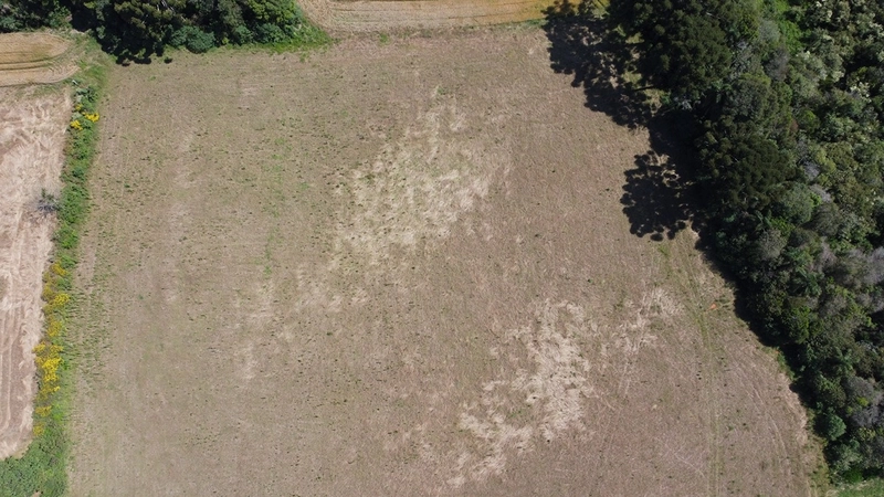 TERRENO PARA FORMAÇÃO DE CHÁCARA PRÓXIMO AO CENTRO DE ARAUCÁRIA: 31ª foto da galeria de imagens do imóvel