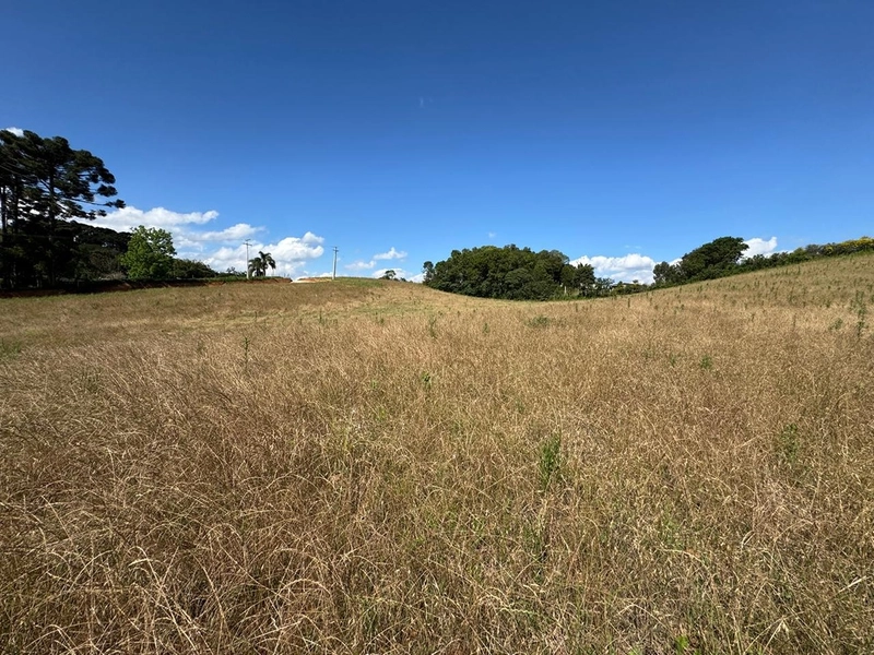 TERRENO PARA FORMAÇÃO DE CHÁCARA PRÓXIMO AO CENTRO DE ARAUCÁRIA: 50ª foto da galeria de imagens do imóvel