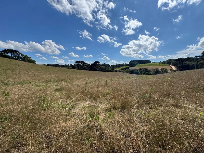 TERRENO PARA FORMAÇÃO DE CHÁCARA PRÓXIMO AO CENTRO DE ARAUCÁRIA: 47ª foto da galeria de imagens do imóvel