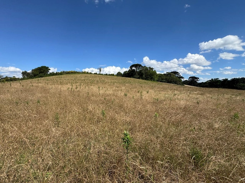 TERRENO PARA FORMAÇÃO DE CHÁCARA PRÓXIMO AO CENTRO DE ARAUCÁRIA: 42ª foto da galeria de imagens do imóvel