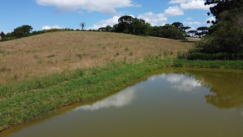 TERRENO PARA FORMAÇÃO DE CHÁCARA PRÓXIMO AO CENTRO DE ARAUCÁRIA: 36ª foto da galeria de imagens do imóvel