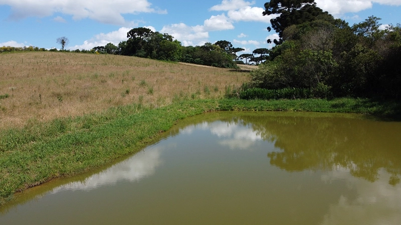 TERRENO PARA FORMAÇÃO DE CHÁCARA PRÓXIMO AO CENTRO DE ARAUCÁRIA: 35ª foto da galeria de imagens do imóvel