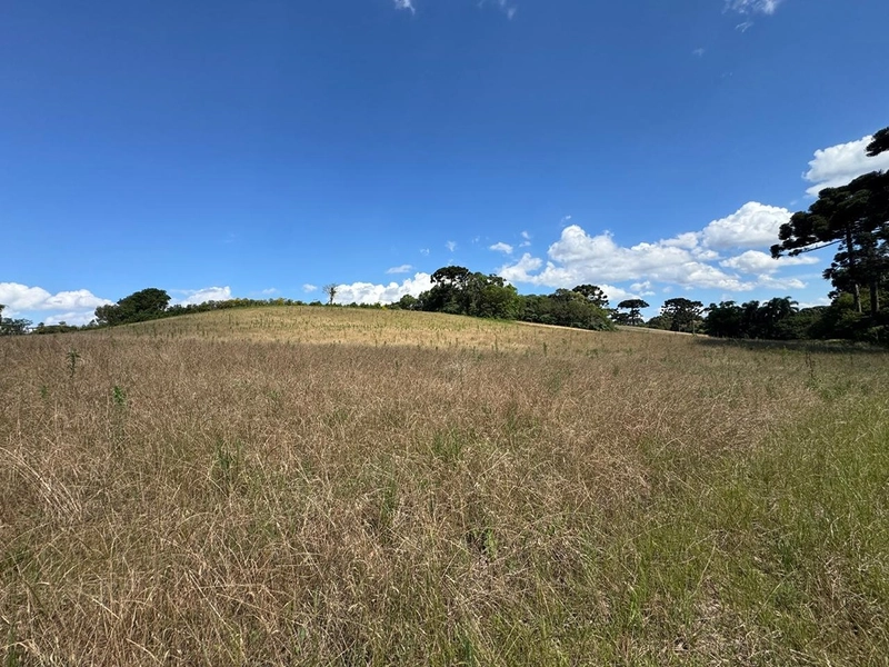 TERRENO PARA FORMAÇÃO DE CHÁCARA PRÓXIMO AO CENTRO DE ARAUCÁRIA: 40ª foto da galeria de imagens do imóvel