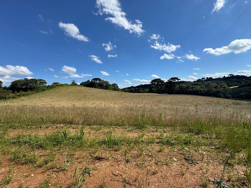 TERRENO PARA FORMAÇÃO DE CHÁCARA PRÓXIMO AO CENTRO DE ARAUCÁRIA: 1ª foto da galeria de imagens do imóvel