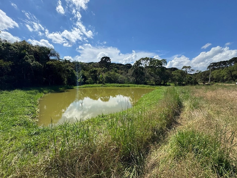 TERRENO PARA FORMAÇÃO DE CHÁCARA PRÓXIMO AO CENTRO DE ARAUCÁRIA: 39ª foto da galeria de imagens do imóvel