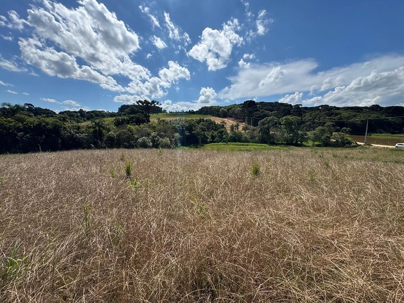 TERRENO PARA FORMAÇÃO DE CHÁCARA PRÓXIMO AO CENTRO DE ARAUCÁRIA: 6ª foto da galeria de imagens do imóvel
