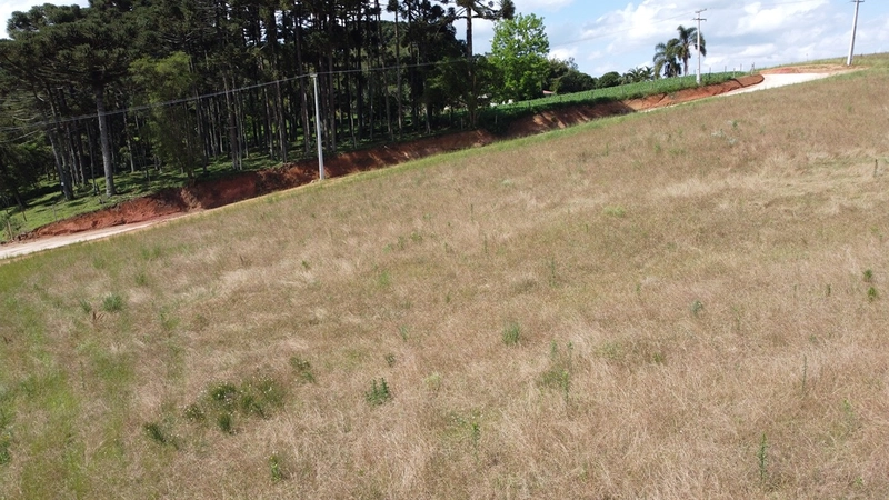 TERRENO PARA FORMAÇÃO DE CHÁCARA PRÓXIMO AO CENTRO DE ARAUCÁRIA: 18ª foto da galeria de imagens do imóvel