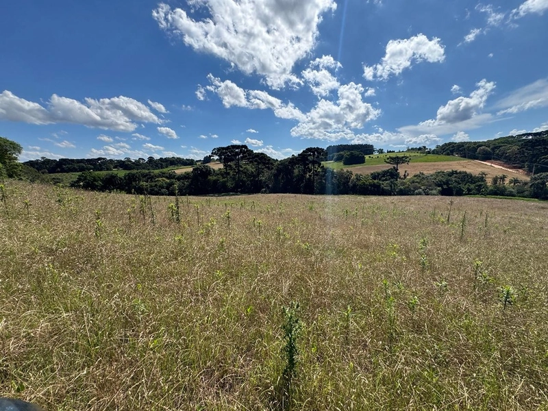 TERRENO PARA FORMAÇÃO DE CHÁCARA PRÓXIMO AO CENTRO DE ARAUCÁRIA: 3ª foto da galeria de imagens do imóvel