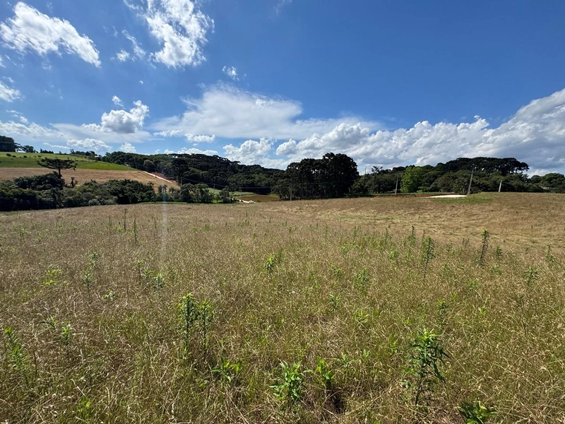 TERRENO PARA FORMAÇÃO DE CHÁCARA PRÓXIMO AO CENTRO DE ARAUCÁRIA: 44ª foto da galeria de imagens do imóvel