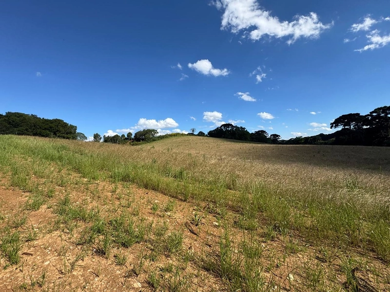 TERRENO PARA FORMAÇÃO DE CHÁCARA PRÓXIMO AO CENTRO DE ARAUCÁRIA: 49ª foto da galeria de imagens do imóvel