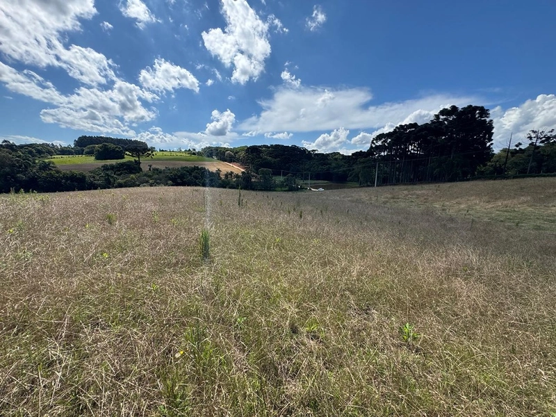 TERRENO PARA FORMAÇÃO DE CHÁCARA PRÓXIMO AO CENTRO DE ARAUCÁRIA: 10ª foto da galeria de imagens do imóvel