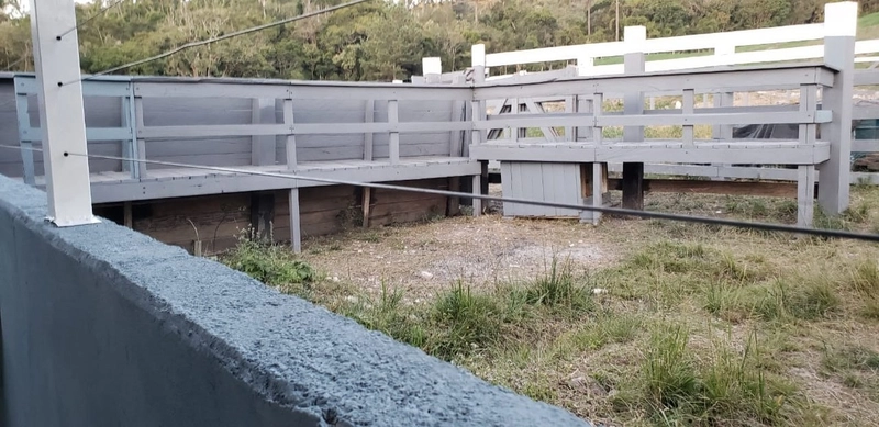 Fazenda Encantadora de 20 Alqueires: Natureza, Conforto e Produção!: 6ª foto da galeria de imagens do imóvel