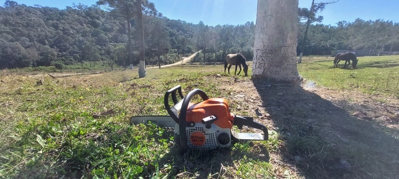 Fazenda Encantadora de 20 Alqueires: Natureza, Conforto e Produção!: 3ª foto da galeria de imagens do imóvel